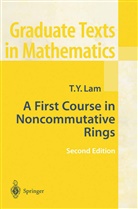 T. Y. Lam, Tsit-Yuen Lam - A First Course in Noncommutative Rings