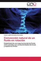 Ivonne Judith Hernández Hernández - Convección natural de un fluido en rotación