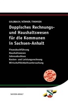 Arni Goldbach, Arnim Goldbach, Ka Kühner, Kai Kühner, Marc Thomsen - Doppisches Rechnungs- und Haushaltswesen für die Kommunen in Sachsen-Anhalt