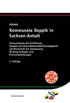 Ka Kühner, Kai Kühner - Kommunale Doppik in Sachsen-Anhalt