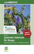 Thomas Miedaner - Optimale Substrate für Biogas