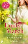 Emily March, March Emily - Teardrop Lane: Eternity Springs Book 9