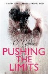 C. C. Gibbs, CC Gibbs - Pushing the Limits