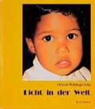 Ortrud A Felsing-Grün, Ortrud Atti Felsing-Grün - Licht in der Welt