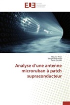 Mouni Amir, Mounir Amir, Siha Benkouda, Siham Benkouda, Tarek Fortaki - Analyse d une antenne microruban