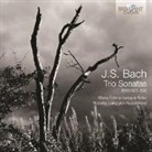 Johann Sebastian Bach - Trio Sonatas, 1 Audio-CD (Audiolibro)