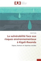 Aimé Tsinda, Tsinda-a - La vulnerabilite face aux risques
