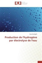 Sana Kordoghli, Kordoghli-s - Production de l hydrogene par