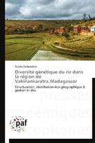 Tendro Radanielina, Radanielina-t - Diversite genetique du riz dans