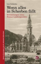 Luis Seebacher - Wenn alles in Scherben fällt