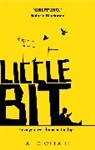 Alex Wheatle - Liccle Bit