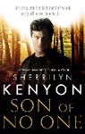 Sherrilyn Kenyon - Son of No One