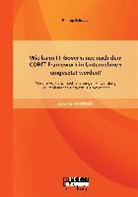 Philipp Schreyer - Wie kann IT-Governance nach dem COBIT Framework in Unternehmen eingesetzt werden? Welche Vor- und Nachteile bergen Anwendung und Implementierung von IT-Governance?