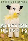 David McGimpsey - Asbestos Heights