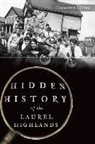 Cassandra Vivian - Hidden History of the Laurel Highlands