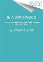Joseph Luzzi - In a Dark Wood