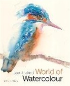Jean Haines - Jean Haines'World of Watercolour