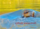 Anna Philomena Stocker, Walter Tockner - süßsalz wasser-kraft