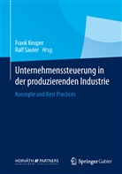 Fran Keuper, Frank Keuper, Sauter, Sauter, Ralf Sauter - Unternehmenssteuerung in der produzierenden Industrie