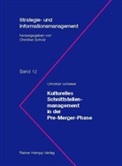 Christian Schawel - Kulturelles Schnittstellenmanagement in der Pre-Merger-Phase