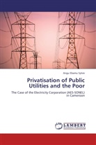 Angu Ebamu Sylvie - Privatisation of Public Utilities and the Poor