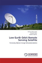Somai Mohamed, Somaia Mohamed, Ibrahim Qamar, Ahme Tobal, Ahmed Tobal - Low Earth Orbit Remote Sensing Satellite
