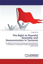 Cheggy Mziray - The Right to Peaceful Assembly and Demonstration in Tanzania
