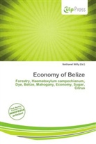 Nethanel Willy - Economy of Belize