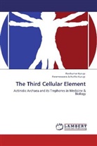 Parameswara Achutha Kurup, Ravikuma Kurup, Ravikumar Kurup - The Third Cellular Element