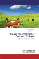 Dirib Geleti, Diriba Geleti, Adugna Tolera - Forages for Smallholder Farmers, Ethiopia