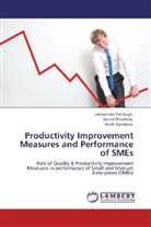 Arvin Bhardwaj, Arvind Bhardwaj, A Sachdeva, Anish Sachdeva, Lakhwinder Pa Singh, Lakhwinder Pal Singh - Productivity Improvement Measures and Performance of SMEs