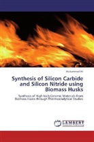 Muhammad Ali, Muhammad Ali - Synthesis of Silicon Carbide and Silicon Nitride using Biomass Husks