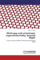 Mauro Tortello - Multi-gap and anisotropic superconductivity: beyond MgB2
