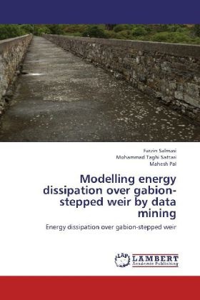 Mahes Pal, Mahesh Pal, Farzi Salmasi, Farzin Salmasi, Mohammad Tagh Sattari, Mohammad Taghi Sattari - Modelling energy dissipation over gabion-stepped weir by data mining - Energy dissipation over gabion-stepped weir
