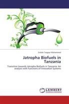 Endale Tsegaye Mohammed - Jatropha Biofuels in Tanzania