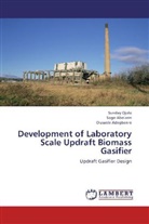 Sog Abolarin, Sogo Abolarin, Oluwole Adegbenro, Sunda Ojolo, Sunday Ojolo - Development of Laboratory Scale Updraft Biomass Gasifier