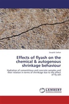 Souptik Sarkar - Effects of flyash on the chemical & autogenous shrinkage behaviour
