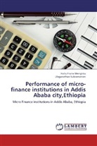 Hailu Fissh Mengistu, Hailu Fissha Mengistu, Ulaganathan Subramanian - Performance of micro-finance institutions in Addis Ababa city,Ethiopia