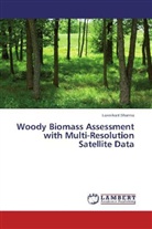 Laxmikant Sharma - Woody Biomass Assessment with Multi-Resolution Satellite Data