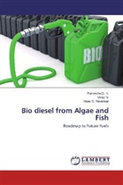 Ramesh D K, Ramesha D K, Ramesha D. K., Vina N, Vinay N, Vinay N.... - Bio diesel from Algae and Fish