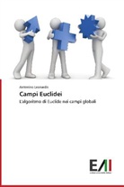 Antonino Leonardis - Campi Euclidei