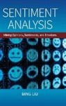 Bing Liu, Bing (University of Illinois Liu - Sentiment Analysis