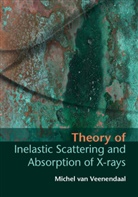 Jeroen Van Den Brink, Michel van Veenendaal, Michel (Northern Illinois Universi Van Veenendaal, Michel (Northern Illinois University) van Veenendaal, Prof. Michel Van Veenendaal, Michel van Veenendaal - Theory of Inelastic Scattering and Absorption of X-Rays