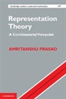 Amritanshu Prasad, Prasad Amritanshu - Representation Theory