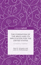 J Poffenbarger, J. Poffenbarger, John G. Poffenbarger, Schaefer, M Schaefer, M. Schaefer... - Formation of the Brics and Its Implication for the United States