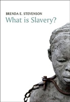 B Stevenson, Brenda Stevenson, Brenda E Stevenson, Brenda E. Stevenson - What Is Slavery?