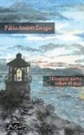 Pablo Andrés Escapa - Mientras nieva sobre el mar