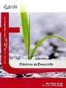 ENTORNOS DE DESARROLLO