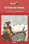Juan Kruz Igerabide - El túnel del viento