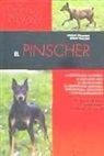 EL PINSCHER
